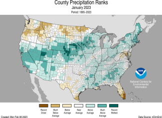Map of the U.S. showing divisional precipitation ranks for January 2023 in shades of green (wetter) and brown (drier).
