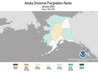 Map of Alaska showing divisional precipitation ranks for January 2023 with wetter areas in gradients of green and drier areas in gradients of brown.