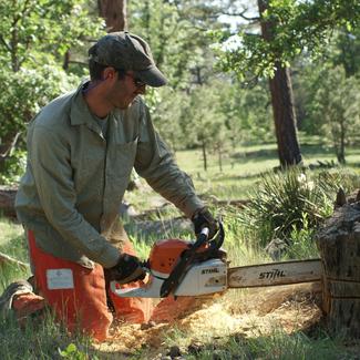 NCEI’s Chris Guiterman working outside cutting a tree with a chainsaw. 