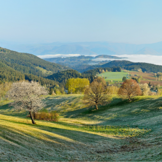 Early spring landscape with snow-capped mountains in the background and trees beginning to bloom in an open valley in the forefront.
