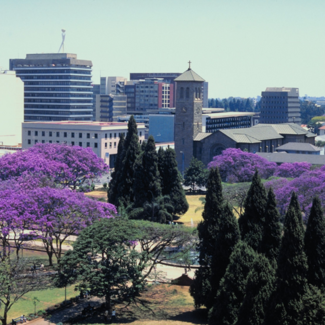 Aerial view of buildings in Harare, Zimbabwe with jacaranda trees blooming purple surrounding a city park.