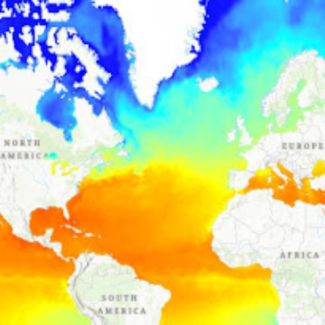 Map of global sea surface temperatures as created by data from NCEI’s Daily Optimum Interpolation Sea Surface Temperature (DOISST) product.