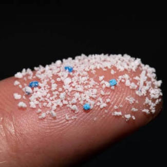 Small plastic pellets on a person’s finger.