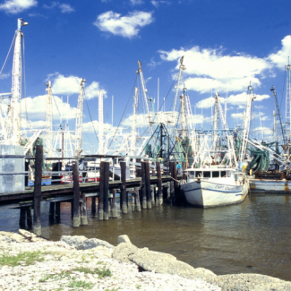 Picture of Mississippi shrimp boats in Gulf, courtesy of NOAA