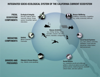Graphic of the Integrated Socio-ecological System of the California Current