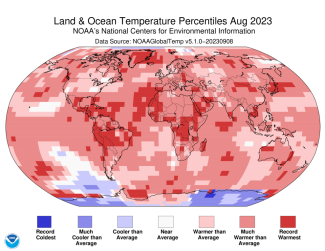 Map of the world showing land/ocean temperature percentiles for August 2023 with warmer areas in gradients of red and cooler areas in gradients of blue.