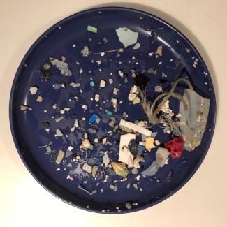 ALT TEXT: Photo of a round lab tray showing a variety of microplastics. 