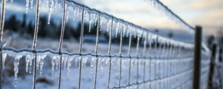 Picture of a frozen fence