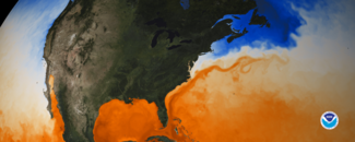 Graphic visualization map of Gulf Stream seen through sea surface temperature created by NOAA NESDIS