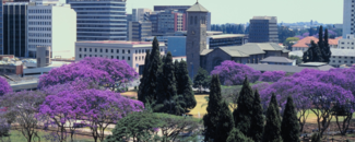 Aerial view of buildings in Harare, Zimbabwe with jacaranda trees blooming purple surrounding a city park.