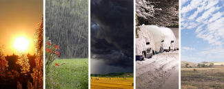 Photo collage of weather phenomena