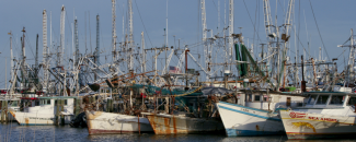 Image of shrimp boats docked in Gulf of Mexico, by B. Ambrose for NOAA NCEI.