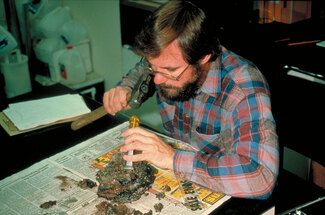Photo of a scientist preparing a midden sample for analysis in the laboratory