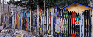 Photo of skis lined up vertically near a shed