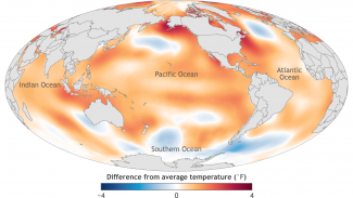 Map of global sea surface temperature anomalies in 2016