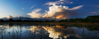 Photo of storm clouds over the Everglades