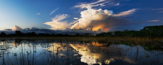 Photo of storm clouds over the Everglades in Florida