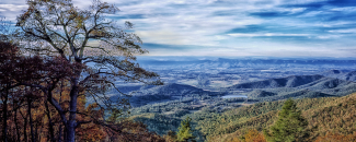 Photo of a Virginia landscape