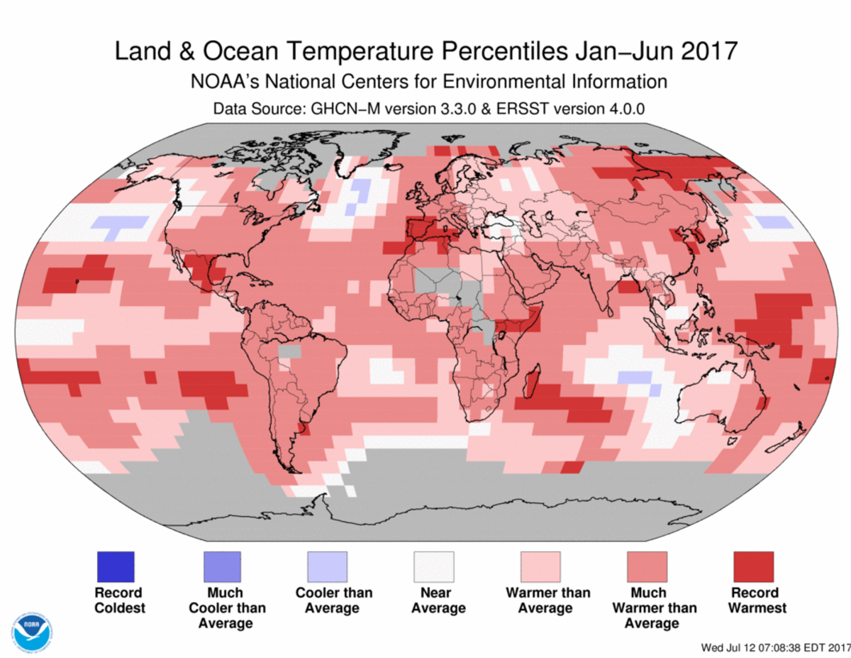 Map of global temperature percentiles for January to June 2017