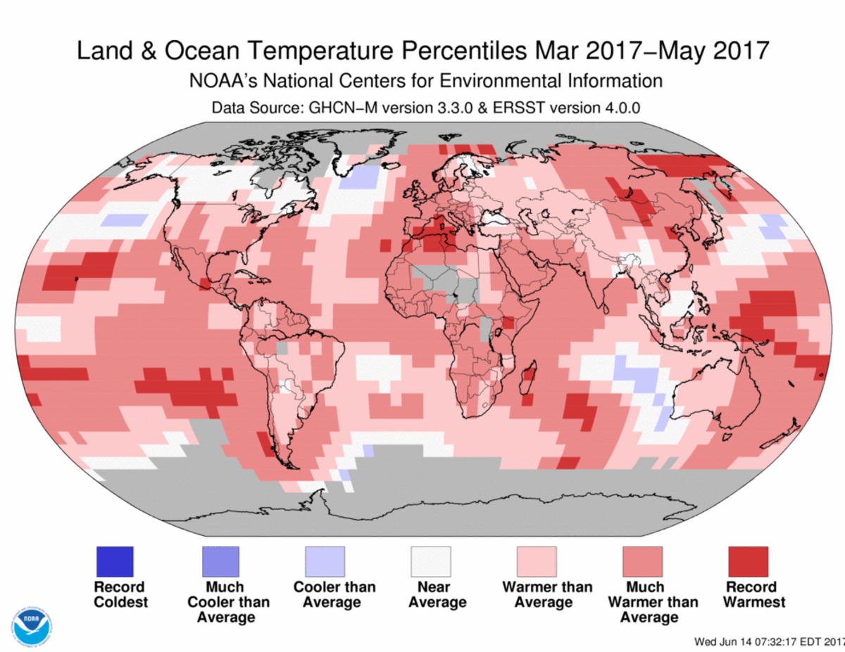 Map of global temperature percentiles for March to May 2017