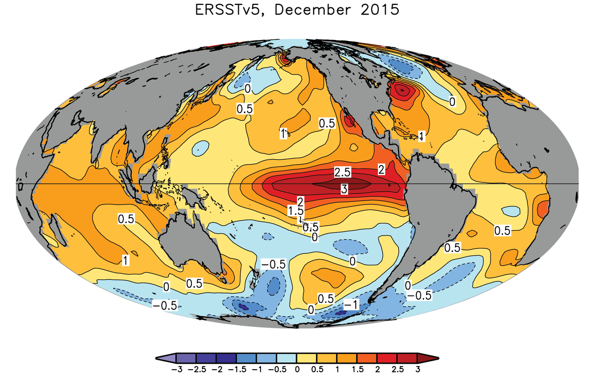 Map of sea surface temperature anomalies from ERSSTv5, Dec 2015.